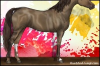 Horse Color:Liver Red Dun 