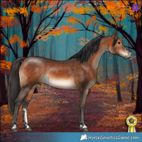 Horse Color:Brown 