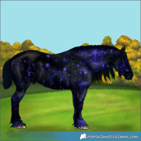 Horse Color:ERROR: UNKNOWN ANOMALY and ERROR: UNKNOWN ANOMALY