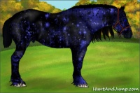 Horse Color:ERROR: UNKNOWN ANOMALY and ERROR: UNKNOWN ANOMALY