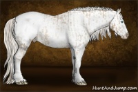 Horse Color:Chocolate Palomino Pearl Mushroom Sabino Snowcap Rabicano  and Chocolate Palomino Pearl Sabino Snowcap Rabicano 