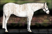 Horse Color:Chocolate Palomino Pearl Sabino Appaloosa Rabicano  and Chocolate Palomino Pearl Sabino Appaloosa Rabicano