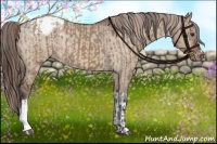 Horse Color:Liver Red Dun Varnish Brindle  and Bay Dun Varnish Brindle 