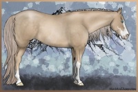 Horse Color:White Spotted Chocolate Palomino Pearl Sabino Rabicano and Chocolate Palomino Pearl Sabino Rabicano