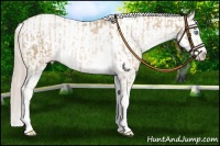 Horse Color:Chocolate Palomino Pearl Sabino Appaloosa Rabicano  and Chocolate Palomino Pearl Sabino Appaloosa Rabicano