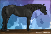 Horse Color:Gray Smoky Black 