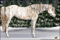 Horse Color:Liver Chestnut Pearl Sabino Appaloosa Rabicano  and Liver Chestnut Pearl Sabino Appaloosa Rabicano 
