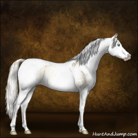 Horse Color:Gray White Spotted Chocolate Palomino Ice Pearl Onyx Mushroom Sabino Rabicano Brindle  and White Spotted Palomino Ice Pearl Onyx Mushroom Sabino Varnish Rabicano 