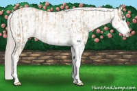 Horse Color:Chocolate Palomino Pearl Sabino Appaloosa Rabicano and White Spotted Chocolate Palomino Pearl Sabino Appaloosa Rabicano