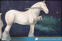 Horse Color:Chocolate Palomino Roan Pearl Dun Tobiano Blanket Rabicano Brindle  and Gold Cream Champagne Pearl Varnish Rabicano 