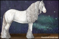 Horse Color:Chocolate Palomino Roan Pearl Dun Tobiano Blanket Rabicano Brindle  and Gold Cream Champagne Pearl Varnish Rabicano 