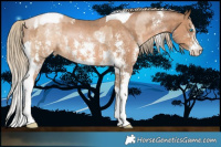 Horse Color:Chocolate Palomino Pearl Sabino Rabicano  and Gray Chocolate Palomino Pearl Sabino Tobiano Rabicano 
