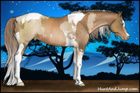 Horse Color:Chocolate Palomino Pearl Sabino Rabicano  and Gray Chocolate Palomino Pearl Sabino Tobiano Rabicano 