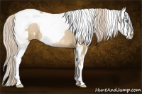 Horse Color:Chocolate Palomino Pearl Sabino Varnish Rabicano  and Chocolate Palomino Pearl Sabino Varnish Rabicano 