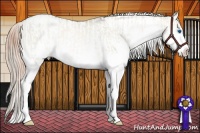 Horse Color:White Spotted Chocolate Palomino Pearl Dun Sabino Splash Appaloosa Rabicano  and White Spotted Buckskin Pearl Dun Splash Appaloosa Rabicano 