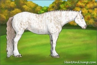 Horse Color:Chocolate Palomino Pearl Sabino Appaloosa Rabicano  and Buckskin Pearl Sabino Appaloosa Rabicano 