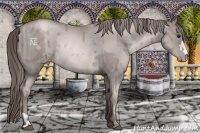 Horse Color:Platinum Black Pearl Rabicano  and Platinum Liver Chestnut Pearl Rabicano 