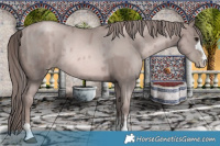Horse Color:Platinum Black Pearl Rabicano  and Platinum Liver Chestnut Pearl Rabicano 