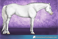Horse Color:Chocolate Palomino Pearl Sabino Appaloosa Rabicano and Chocolate Palomino Pearl Sabino Splash Appaloosa Rabicano