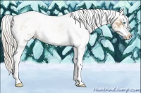 Horse Color:Chocolate Palomino Pearl Sabino Varnish Rabicano  and Chocolate Palomino Pearl Sabino Varnish Rabicano 