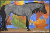 Horse Color:Blue Roan 