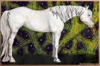 Horse Color:White Spotted Chocolate Palomino Pearl Dun Sabino Snowcap Rabicano  and Chocolate Palomino Pearl Sabino Frame Snowcap Rabicano 