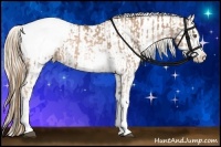 Horse Color:Liver Chestnut Pearl Sabino Appaloosa Rabicano and Gold Champagne Pearl Sabino Appaloosa Rabicano