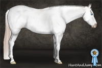 Horse Color:Chocolate Palomino Roan Pearl Appaloosa Rabicano  and Gray Chocolate Palomino Pearl Sabino Appaloosa Rabicano 