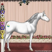 Horse Color:Chocolate Palomino Pearl Sabino Snowcap Rabicano  and Chocolate Palomino Pearl Sabino Snowcap Rabicano 