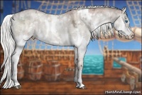Horse Color:White Spotted Liver Red Dun Ice Pearl Sabino Splash