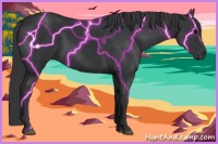 Horse Color:Black 