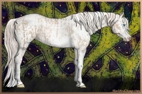 Horse Color:Chocolate Palomino Pearl Sabino Appaloosa Rabicano  and Chocolate Palomino Pearl Sabino Appaloosa Rabicano 