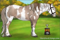 Horse Color:Liver Chestnut Pearl Sabino Rabicano  and Liver Chestnut Pearl Sabino Splash Rabicano 