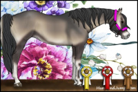 Horse Color:Blue Onyx 