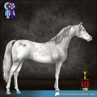 Horse Color:Cremello Mushroom Sabino Tobiano Appaloosa Rabicano  and White Spotted Liver Chestnut Mushroom Appaloosa Rabicano 
