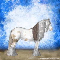 Horse Color:Chocolate Palomino Pearl Sabino Appaloosa Rabicano  and Liver Chestnut Sabino Appaloosa Rabicano 