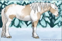 Horse Color:Chocolate Palomino Pearl Sabino Appaloosa Rabicano and Chocolate Palomino Pearl Sabino Splash Appaloosa Rabicano