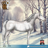 Horse Color:Platinum White Spotted Chocolate Palomino Pearl Rabicano  and Platinum Chocolate Palomino Pearl Sabino Frame Rabicano 