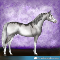 Horse Color:Platinum White Spotted Silver Brown Onyx Sabino Frame 
