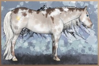 Horse Color:Liver Red Dun Mushroom Sabino Splash Tobiano Rabicano