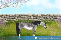Horse Color:Gray Platinum Buckskin Dun Sabino Tobiano Rabicano  and Gray Platinum White Spotted Brown Dun Tobiano 