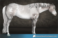 Horse Color:Platinum White Spotted Chocolate Palomino Mushroom 