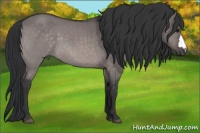 Horse Color:Platinum Brown Dun
