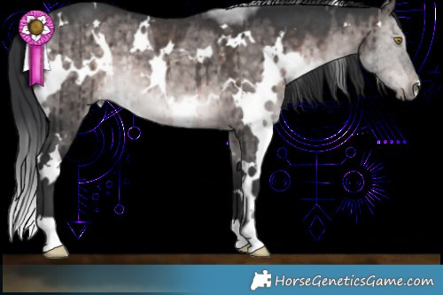 Horse Color:Platinum White Spotted Brown Dun Rabicano Brindle 