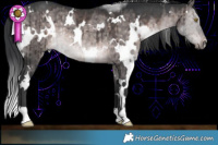 Horse Color:Platinum White Spotted Brown Dun Rabicano Brindle