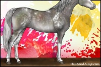 Horse Color:Platinum White Spotted Silver Buckskin