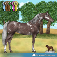 Horse Color:Platinum White Spotted Chocolate Silver Brown Tobiano 