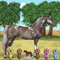 Horse Color:Platinum White Spotted Chocolate Silver Brown Tobiano 
