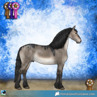 Horse Color:Brown Dun 