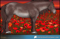 Horse Color:Platinum Chocolate Brown 